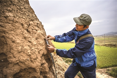 8月12日,李世翔在宁夏海原县西安州古城遗址测量墙体夯土层厚度.